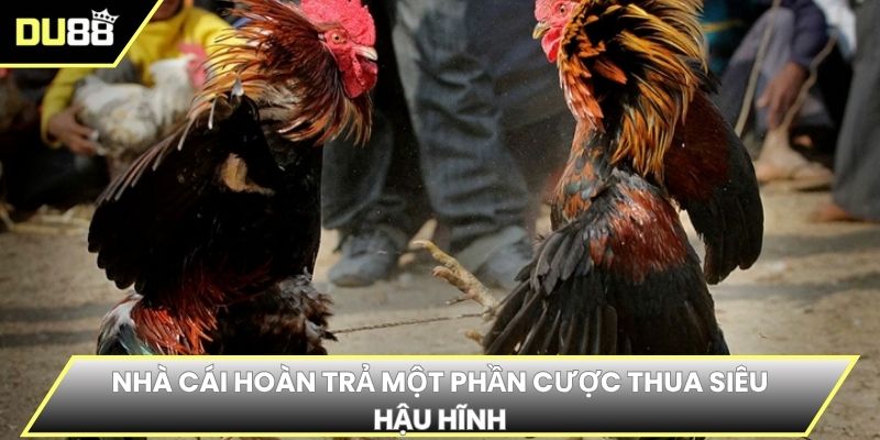 Nhà cái hoàn trả một phần cược thua siêu hậu hĩnh